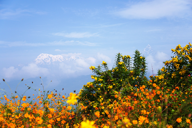 Kathmandu Pokhara Tour